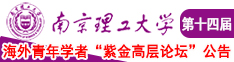 骚货微胖女孩南京理工大学第十四届海外青年学者紫金论坛诚邀海内外英才！